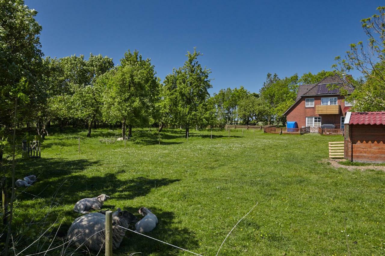 Fewo Auf Dem Lande / Nahe Spo Tumlauer Koog Exterior foto
